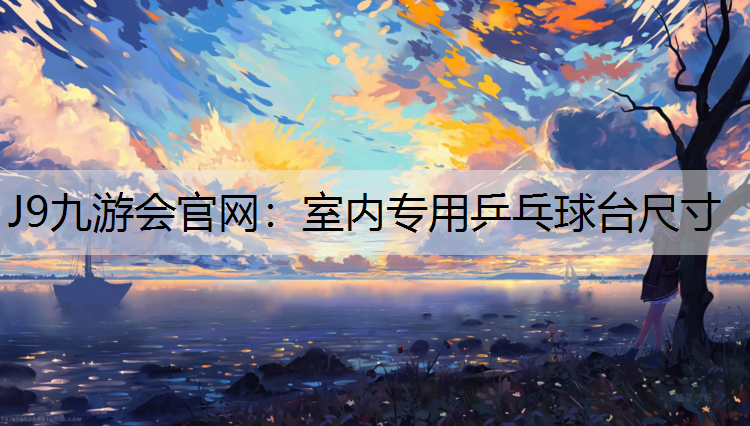 室内专用乒乓球台尺寸